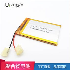 293653-750mAh